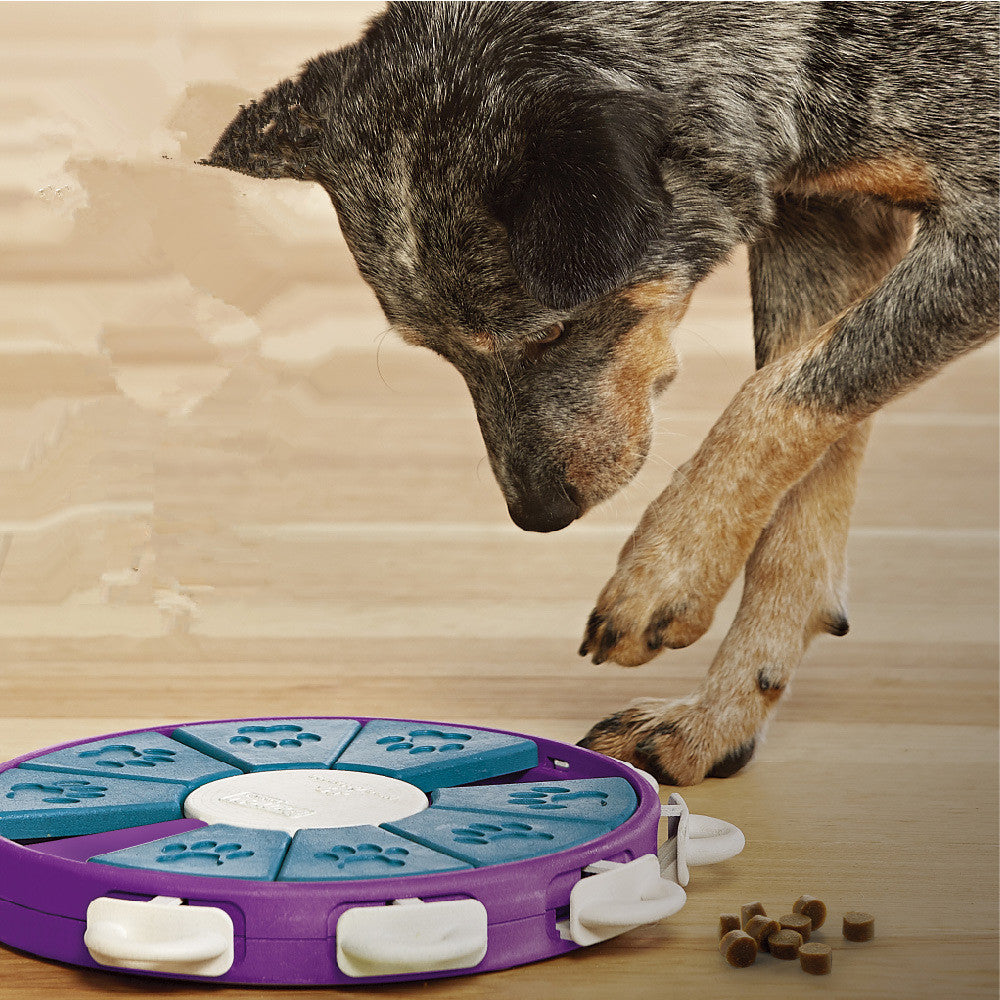 Interactive Dog Food Puzzle