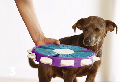 Interactive Dog Food Puzzle