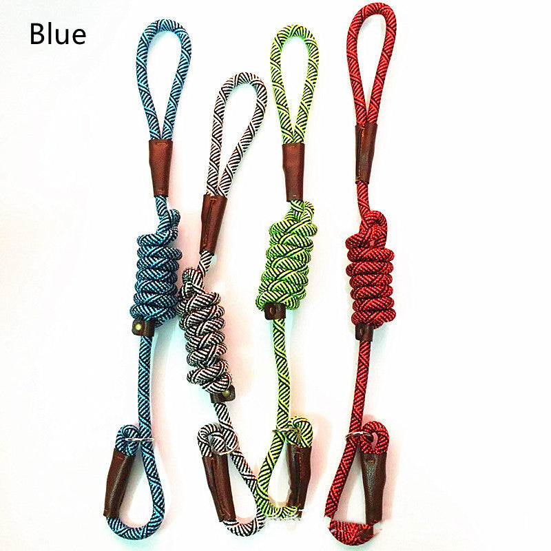 Dog Training Slip Lead Leash