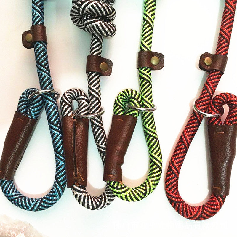 Dog Training Slip Lead Leash